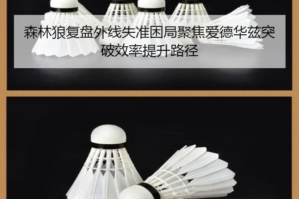 森林狼复盘外线失准困局聚焦爱德华兹突破效率提升路径